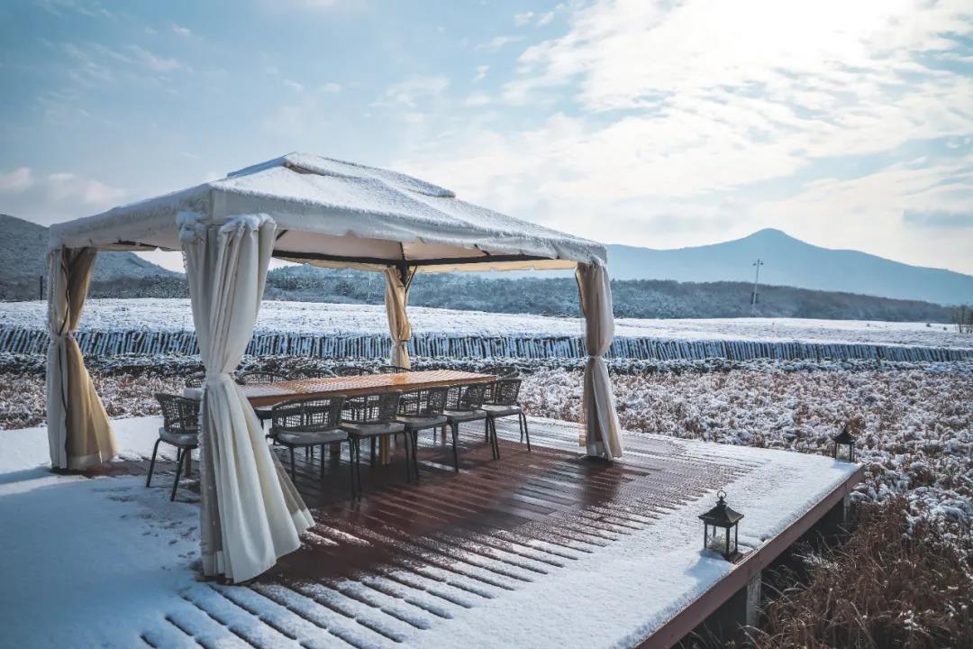 初雪 | 相约美丽乡村三瓜公社