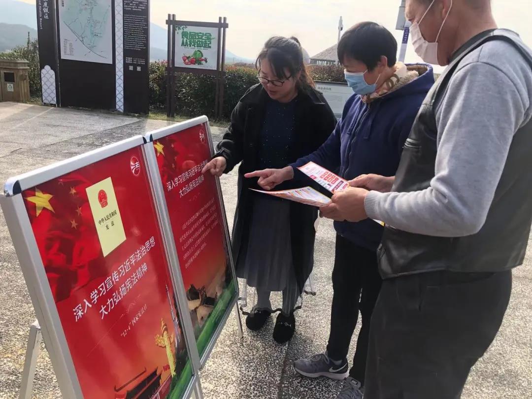 我区文旅局积极开展宪法宣传周活动