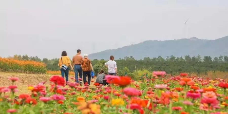 提前预热第三波——烂漫花草来袭，闪亮你的眼睛！