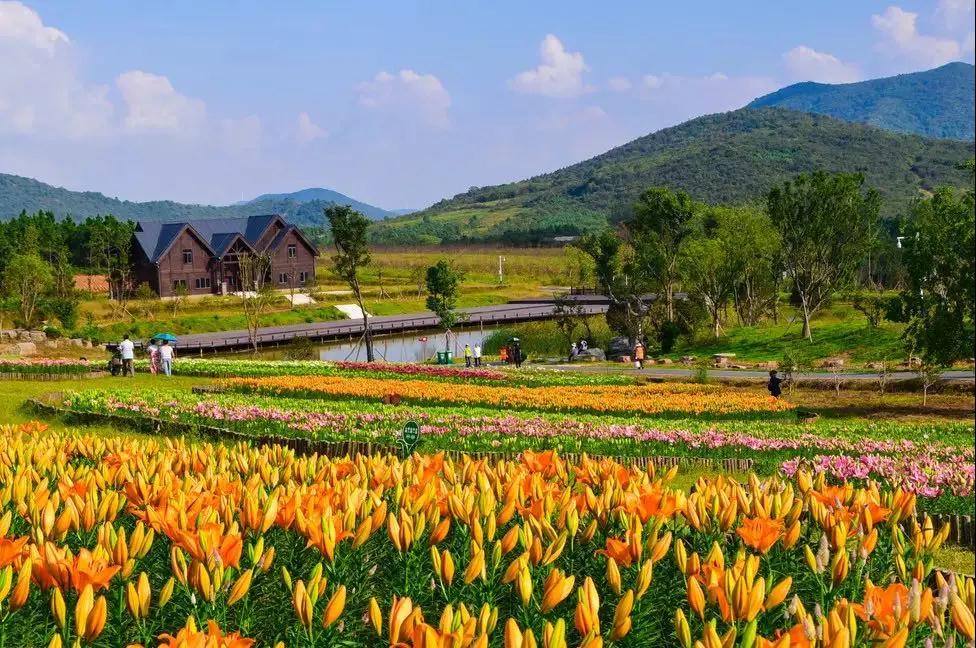 提前预热第四波——半汤最美秋景