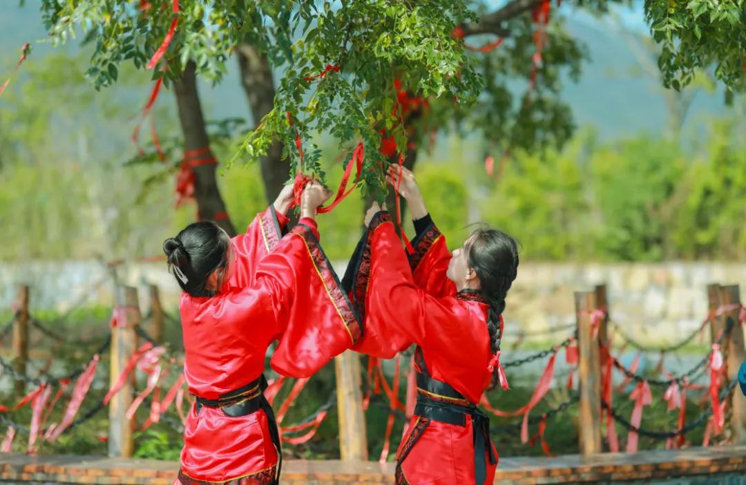 百万株向日葵迎秋绽放！