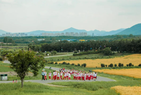 夏季旅游全攻略，带你遇见不一样的夏天！