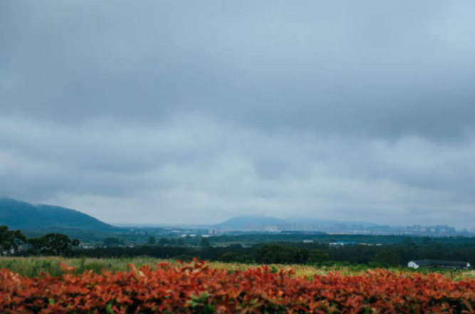 雨落半汤 | 雾雨朦胧山林间，山路蜿蜒入云天