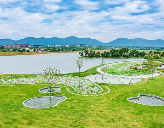 漫游半汤三公里，一场Citywalk等你来参加！