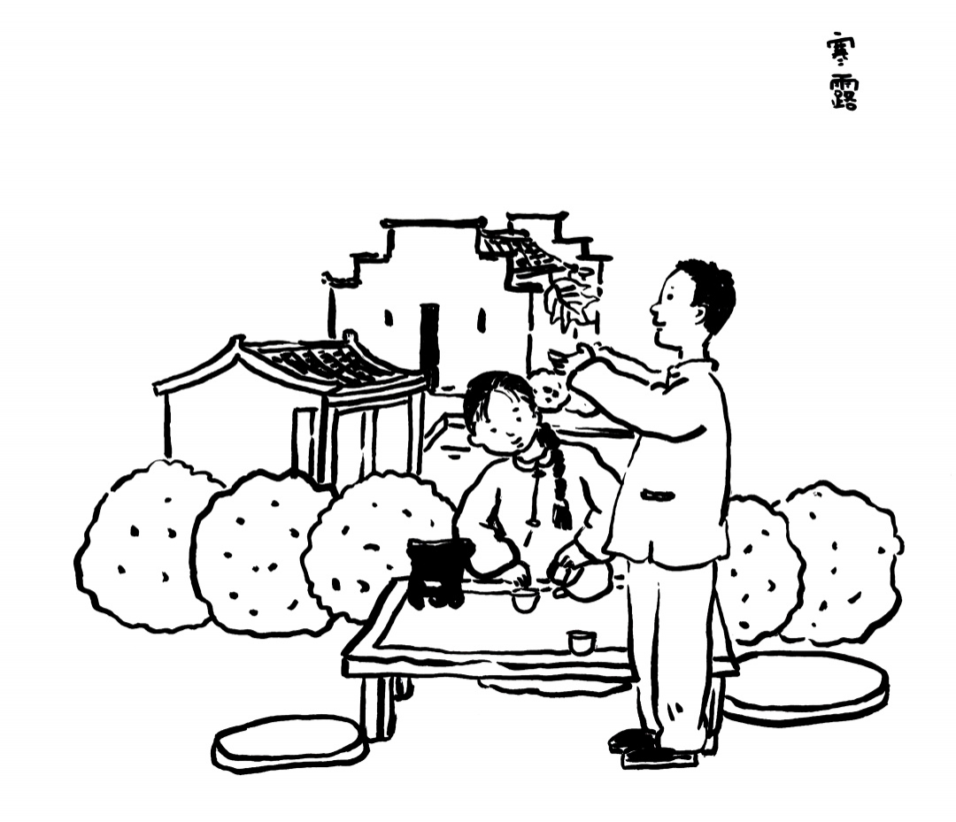 寒露 | 寒露惊秋晚，朝看花渐开