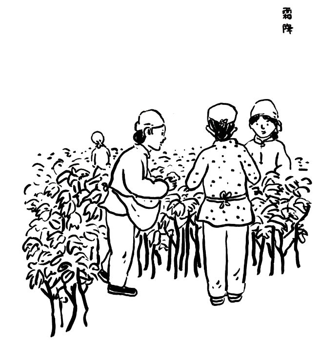 霜降 | 秋已深 冬将至