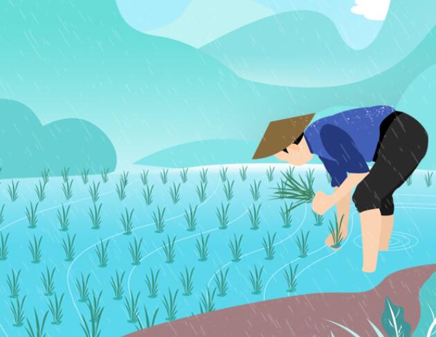 谷雨 | 拨棹茶川去，初逢谷雨晴