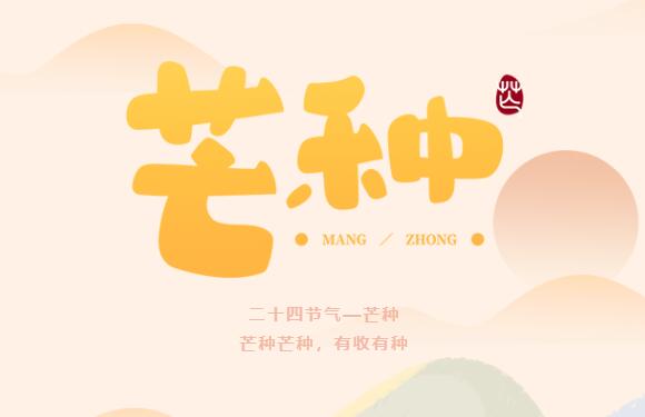 芒种 | 忙而不茫，“种”有所得