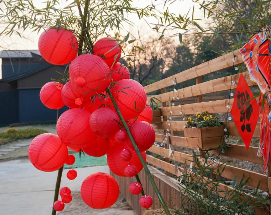 出片率100%！卫村CAMP冬季“氛围”上线！快来拍新年的朋友圈→