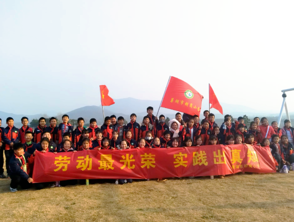 劳动“郁”见美，实践出真知——胡岗小学赴半汤温泉养生度假区开展郁金香种植实践活动