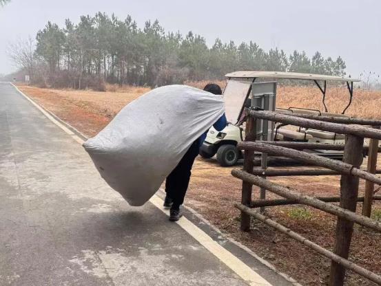 清理林下可燃物 筑牢营地“防火墙”