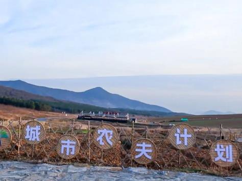 半泉栖谷营地乐园，城市农夫计划期待您的加入