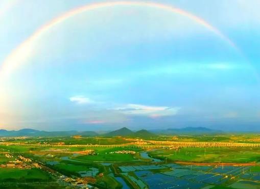 探索新滋味：芙蓉虾仁，鲜不可挡