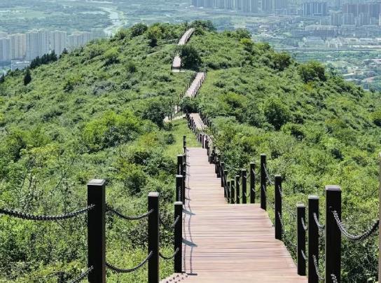 赏花、踏青、遛娃、露营……你的清明小长假，半汤包了！