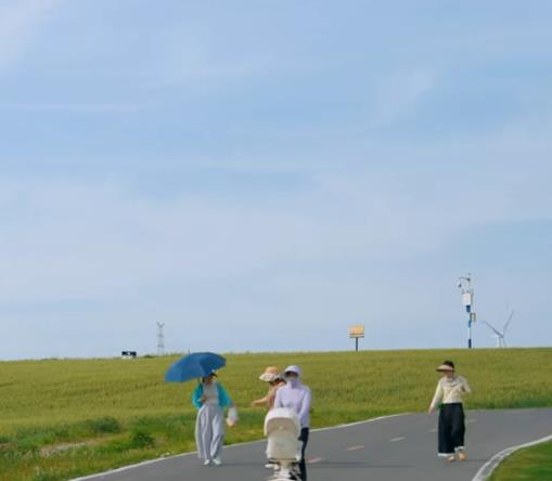 麦浪逐风 酿就春日温柔