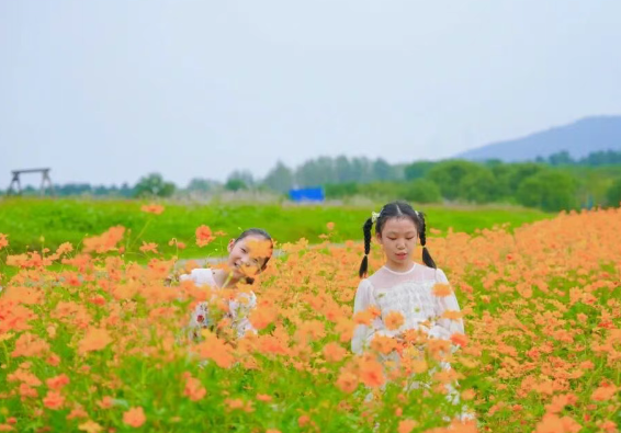 不止赏花！玩转市集，高地狂欢正当时！