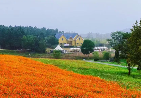 一场秋雨，邂逅半汤的好时光~