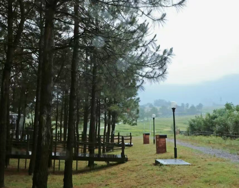 在半汤赏雨，是件很小众的事？