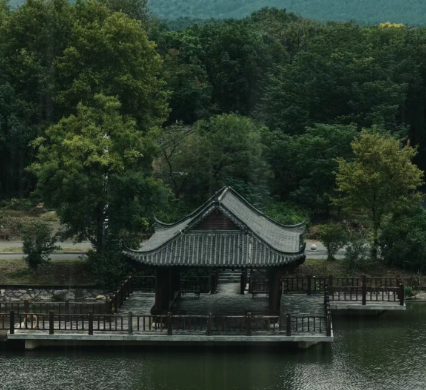有人来半汤，只等一场雨 | 美图