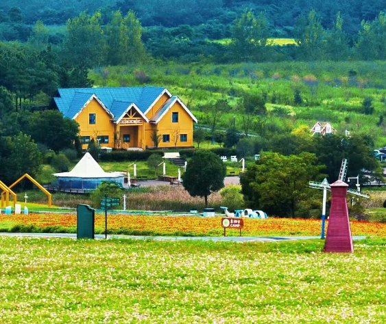 在半汤，去郁金香高地“偷个闲”
