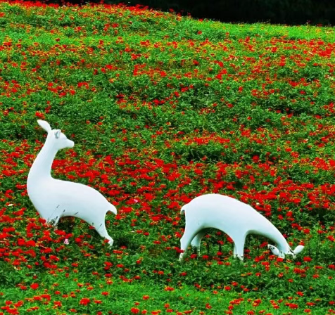 周末，去有花的地方喝咖啡~