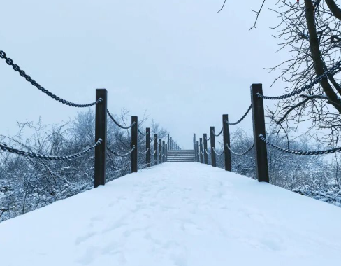 半汤迎来2026年第一场雪！