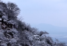 2026初雪至，半汤藏尽冬之韵