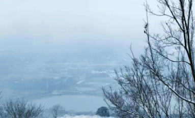 我把半汤的松雪、日出、晚霞、梅香送您