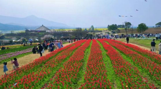 半汤邀您共赴一场春日文旅盛宴
