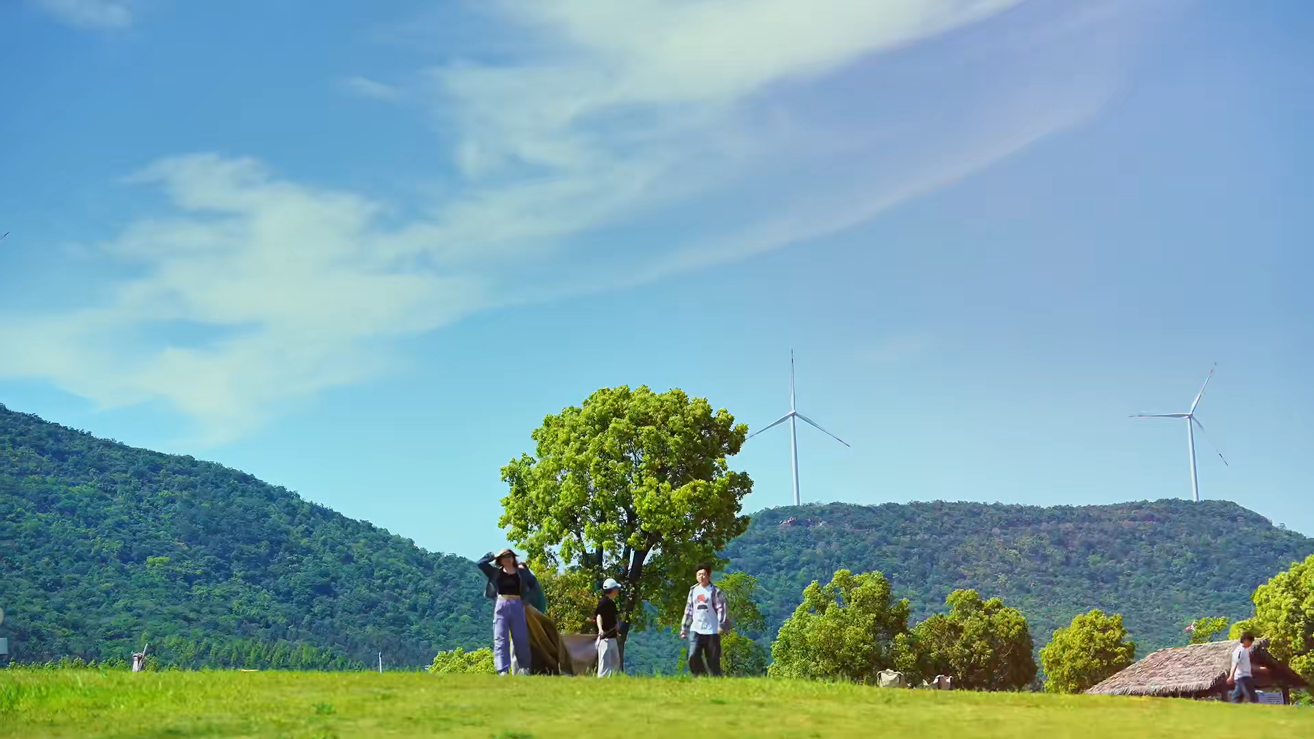 治愈系初夏｜半汤郁金香高地，虞美人漫坡盛放
