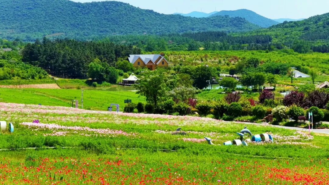 端午趣半汤！吃住游娱全攻略，解锁与“粽”不同的山野假期