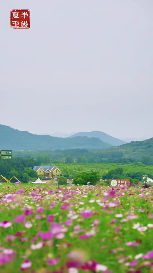 夏至，栖居半汤慢度悠然盛夏