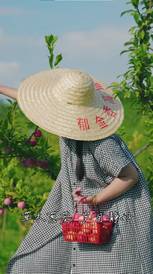 七月你好，在半汤接住一整个夏天的温柔
