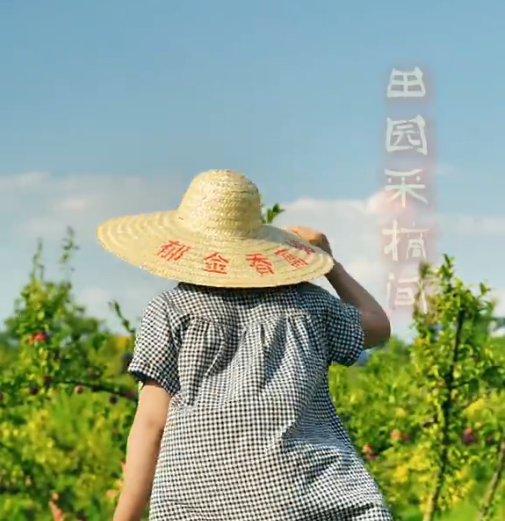 夏暮秋始，在半汤遇见初秋温柔