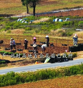 处暑｜秋意上线，来半汤邂逅山野浪漫