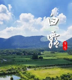 今日白露｜藏在半汤的初秋，清欢自来