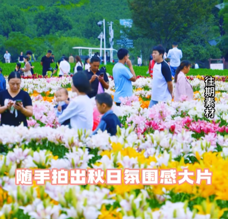 中秋国庆好去处｜半汤启程，巢湖一日漫游计划